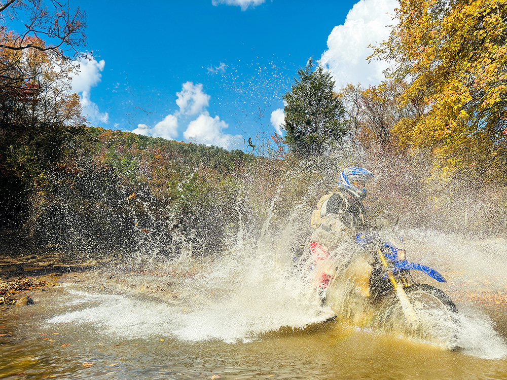 DA73291E-5F63-4911-A6DC-254E4319F933