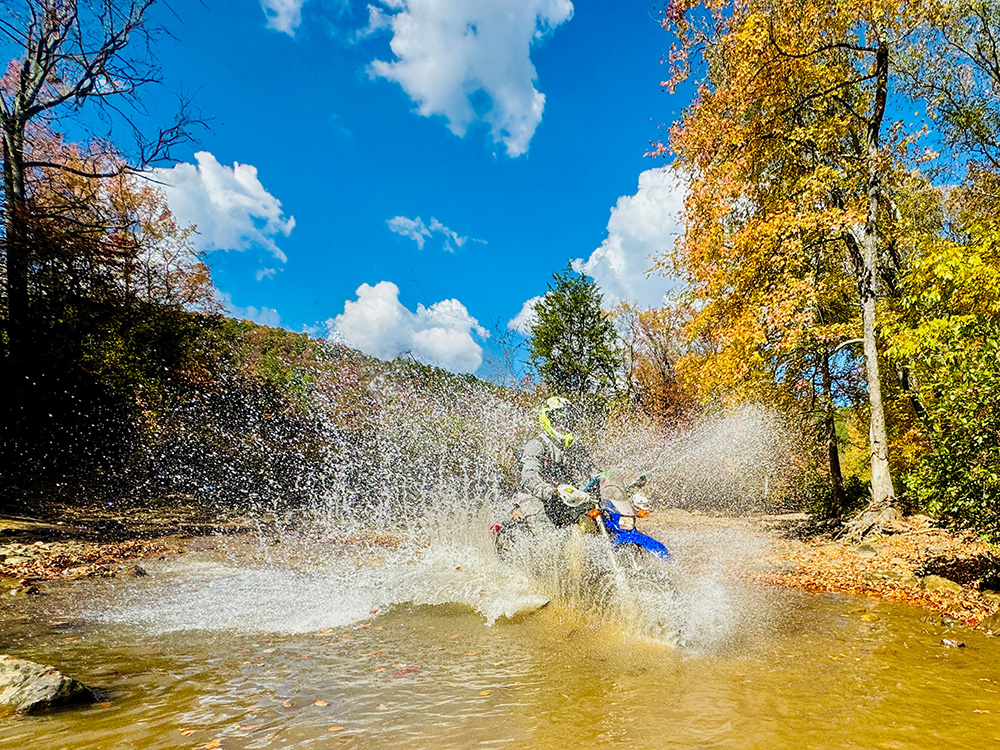 EDFD147C-E02A-4346-83D2-3F7B76E4016C